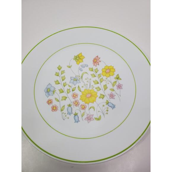 Vintage Corning Corelle 1977 Meadow one 10 1/4 in Dinner Plage - Picture 1 of 5
